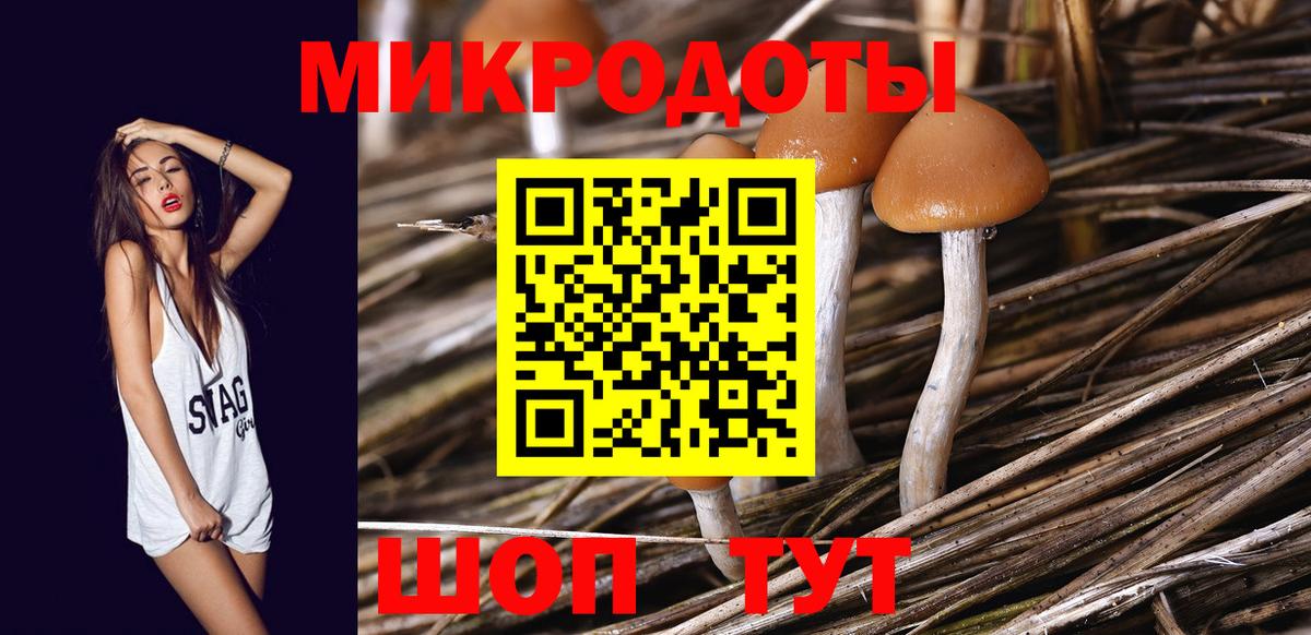 Тында  Псилоцибиновые грибы Cubensis  Вход с VPN  Псилоцибиновые грибы MAGIC MUSHROOMS 