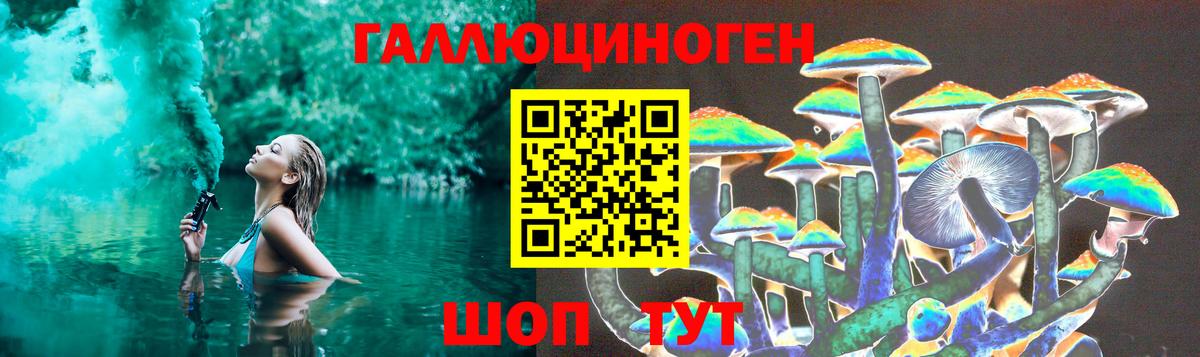 Галлюциногенные грибы GOLDEN TEACHER Тында
